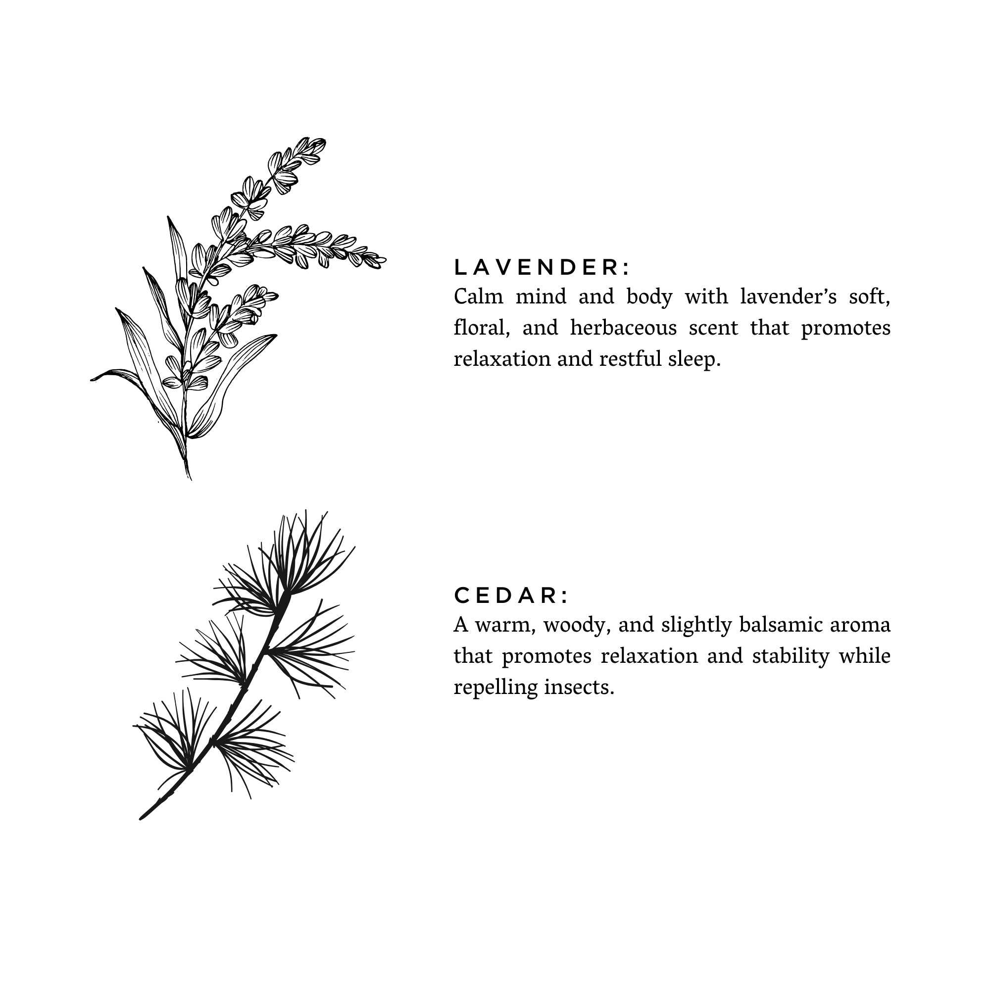 Lavender + Cedar - Reed Diffuser