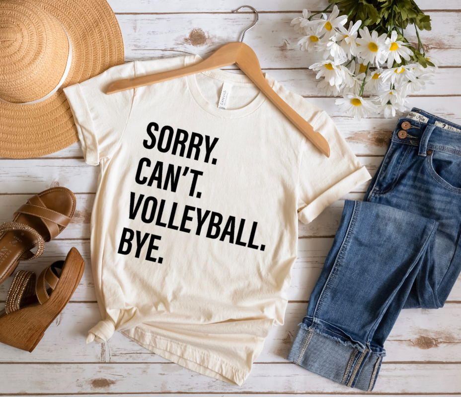 Sorry. Can't. VOLLEYBALL. Bye.