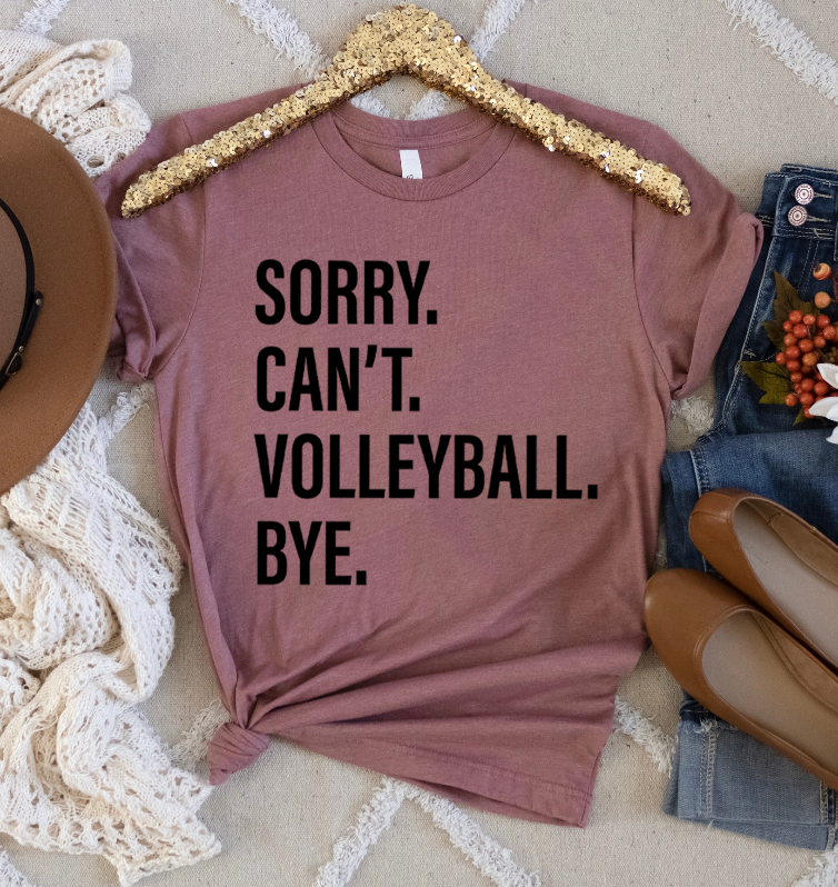 Sorry. Can't. VOLLEYBALL. Bye.