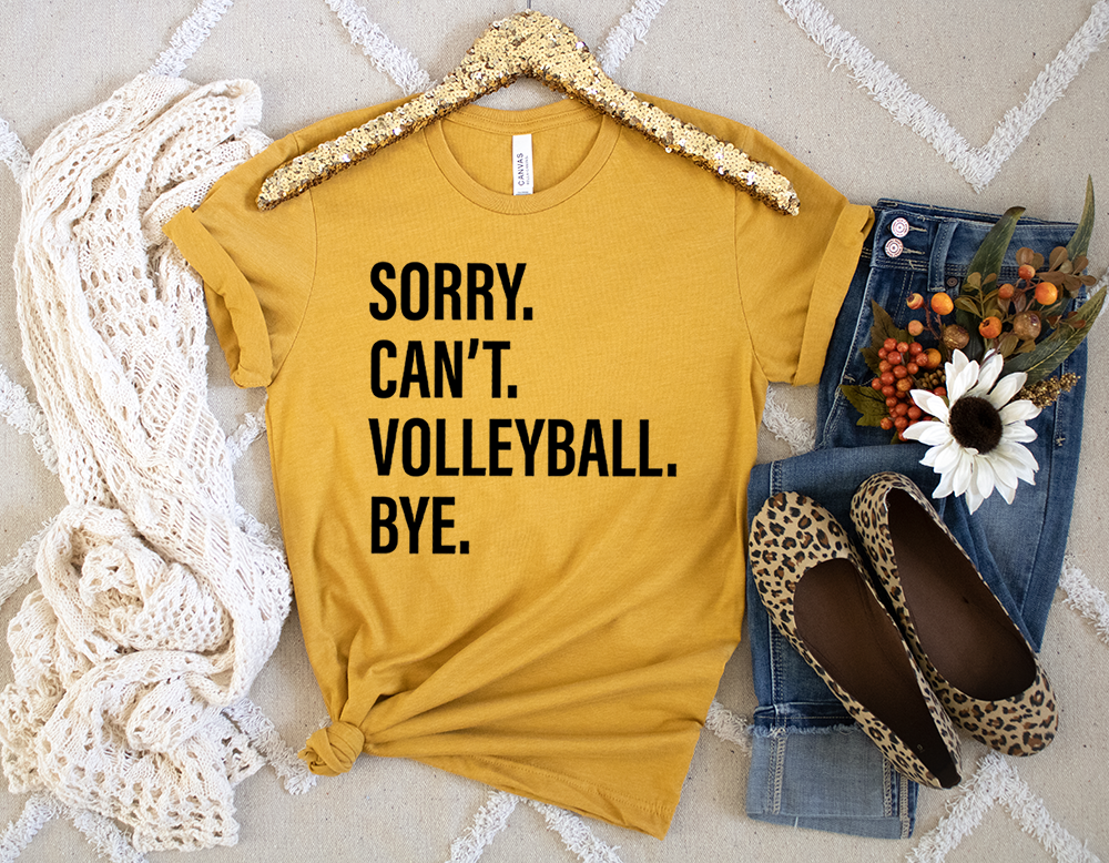 Sorry. Can't. VOLLEYBALL. Bye.