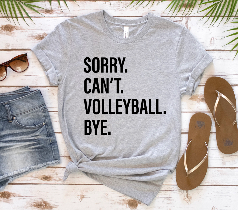 Sorry. Can't. VOLLEYBALL. Bye.