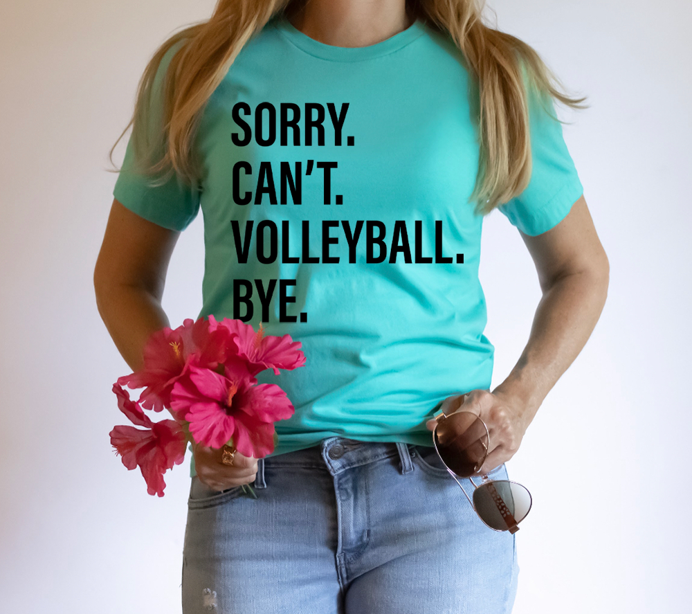 Sorry. Can't. VOLLEYBALL. Bye.